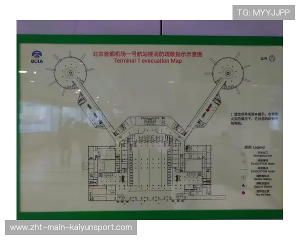 T1战略布局精准无懈可击，t1战术