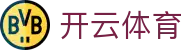 开云·体育(kaiyun)官方网站_KAIYUNSPORTS