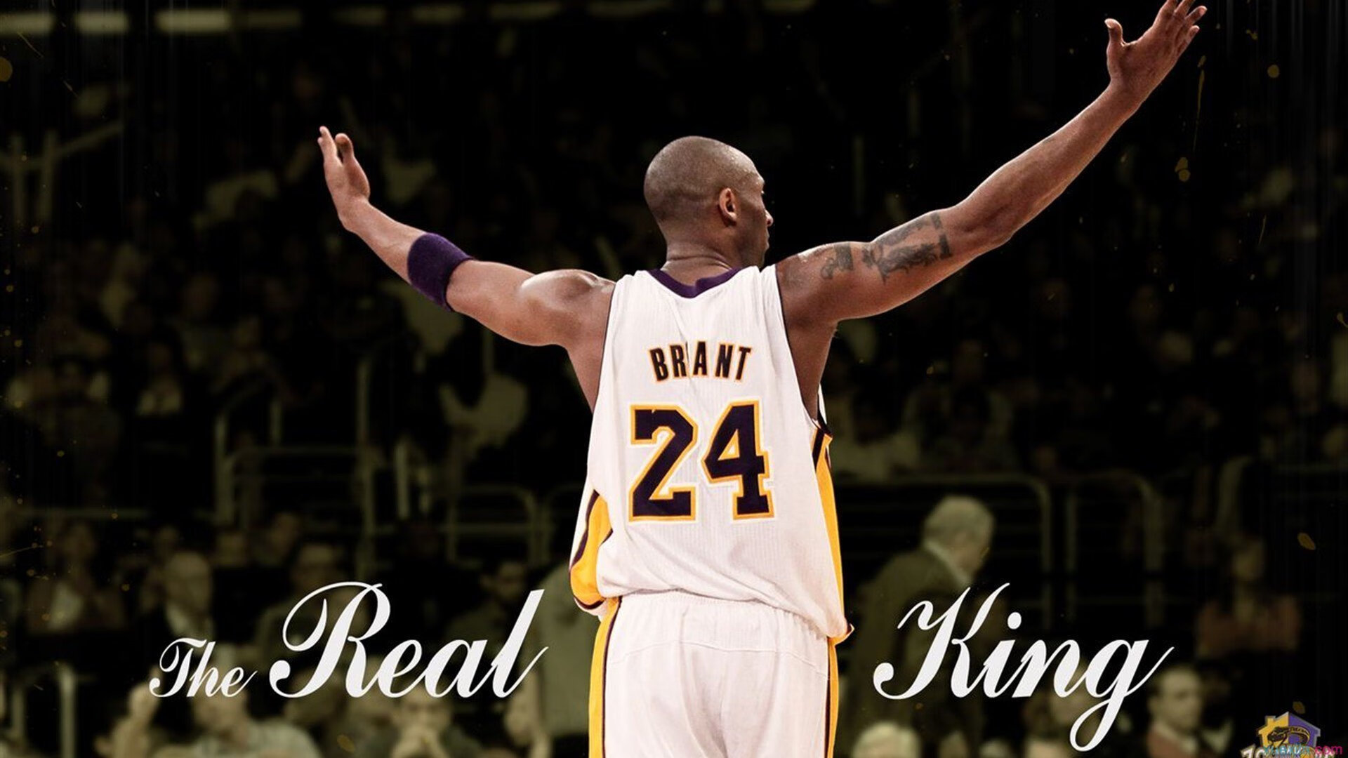 开yun官网-冠军球队主帅战术讲座吸引众多教练和球迷参与，球赛冠军